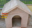 cucce_albetro_nobili_donate_ai_cagnolini_del_sanitario_di_rieti