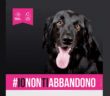 ionontiabbandono_2017_lndc_strada_dei_parchi