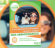 rete_farmacisti_contro_abbandono_degli_animali