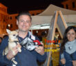 giornata_da_cani_4_0_2017_25