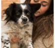 cane_freddy_sanitario_di_rieti_laura_nucci