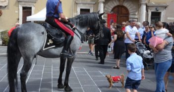 La dolce mascotte Briciola a Magliano Sabina con il 4° Reggimento Carabinieri a cavallo