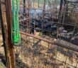 incendio_rifugio_di_fiocco_20_giugno_2022