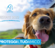 #proteggiiltuoamico_Estate_2022_comunicato