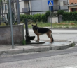 Polish_20220816_132241085