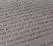 tesori_a_quattro_Zampe_su_frontiera