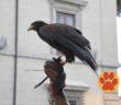 Polish_20220918_134957452