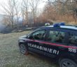 carabinieri_bosco_nuova