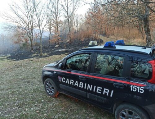 Mørte Bea, Adozioni del Cuore: “C’è rabbia e disperazione”