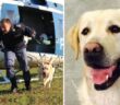 airon_cane_morto_polizia_di_Stato