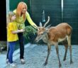 michela_vittoria_brambilla_leidaa_cras_stella_del_nord_Cervo