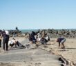 wwf_pulizia_spiaggia_borsagliolo_2