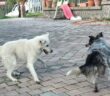IMG-20230304-WA0049