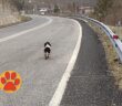 Polish_20230302_092027390