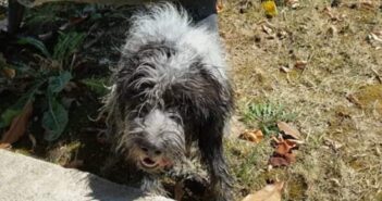 Luna e Asia, mamma e figlia, entrambe smarrite in zona Terni (Umbria)