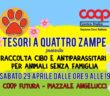 banner_tesori_raccolta_cibo_antiparassitari_29_aprile_2023