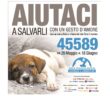 LEIDAA_SMS_solidale_maggio_2023