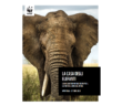 WWF_elefanti
