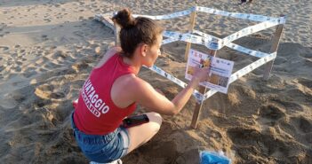 Sono siciliani i primi due nidi di Tartaruga Marina della stagione: a Pachino (Siracusa) e Modica (Ragusa)