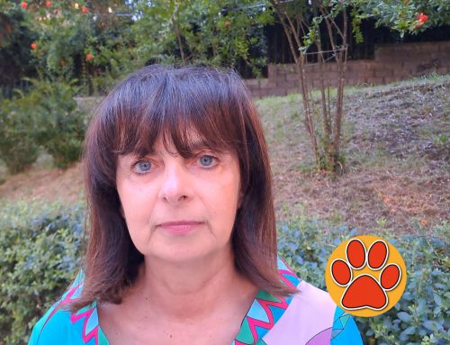 VIDEO – Tesori a quattro zampe, intervista a Cristina Rinaldi assessora alla Cultura del Comune di Poggio Mirteto