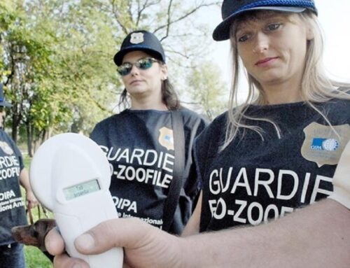 OIPA organizza a Roma due Microchip Day