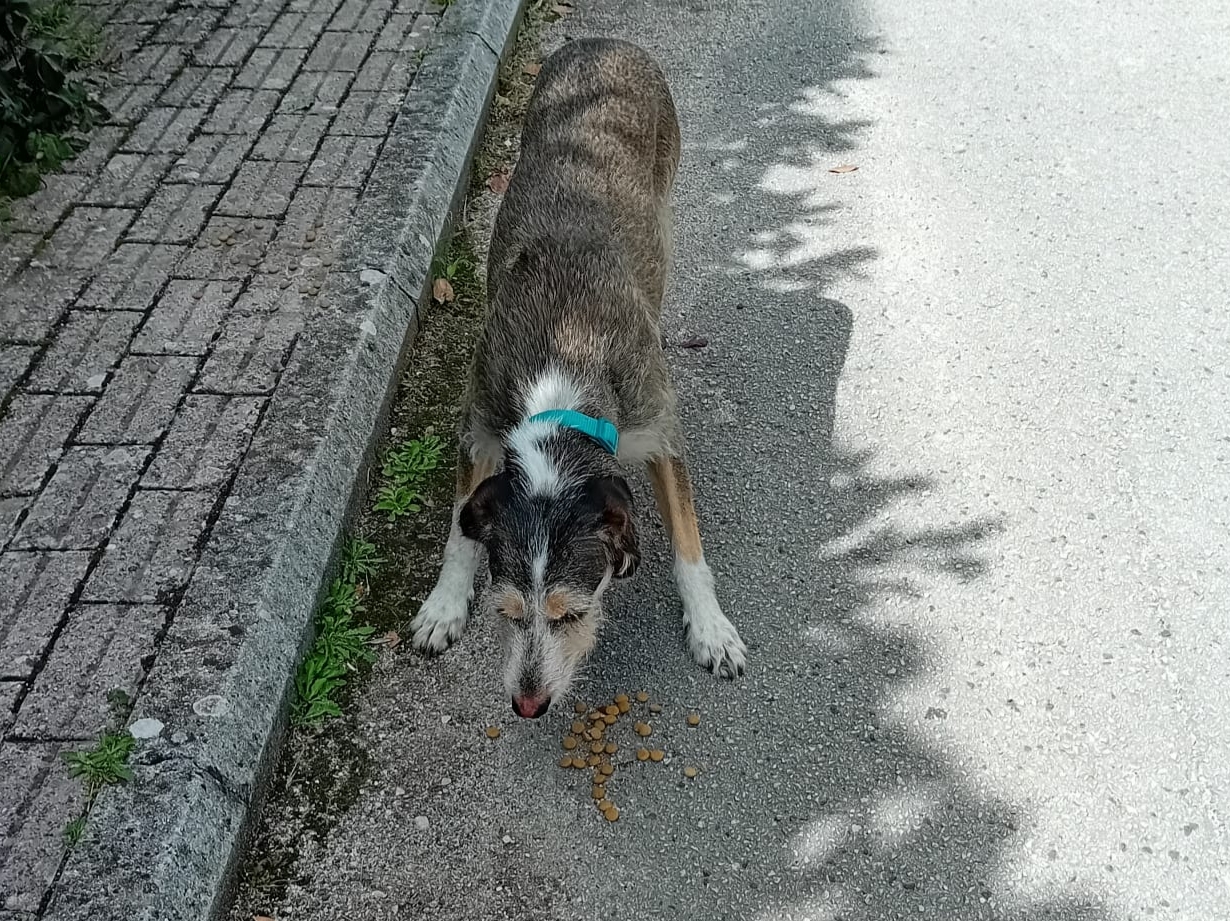 Polish_20230924_133353642