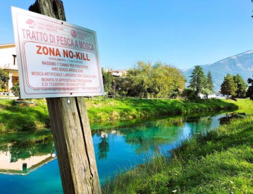 L’estate dei Parchi del Lazio fa tappa nella Riserva dei Laghi con una giornata di educazione ambientale dedicata alla pesca no kill