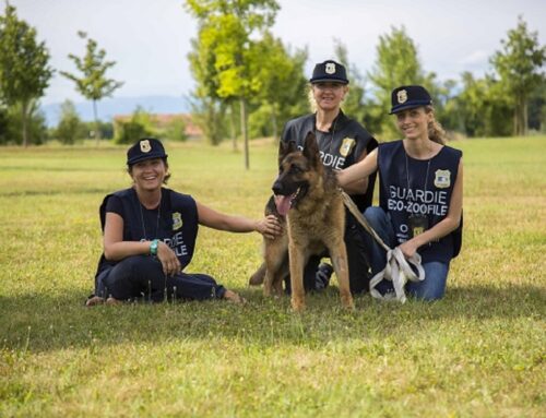 Aperte le iscrizioni ai corsi di formazione per diventare guardia zoofila OIPA nelle province della Sicilia