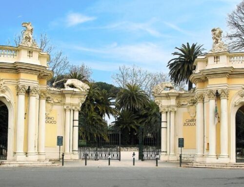 “Bioparco per il Pianeta – One Health Experience”