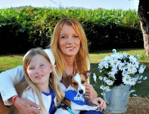 Cani che aiutano le persone diabetiche. E’ il Progetto Serena. Se ne parla in TV