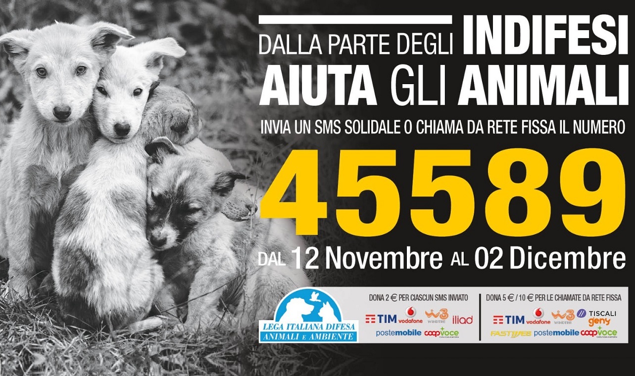 leidaa_sms_solidale_animali_indifesi_novembre_2023