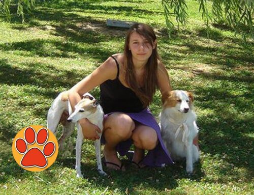 In memoria di Silvia Rosati, studentessa in veterinaria prematuramente scomparsa nel 2010
