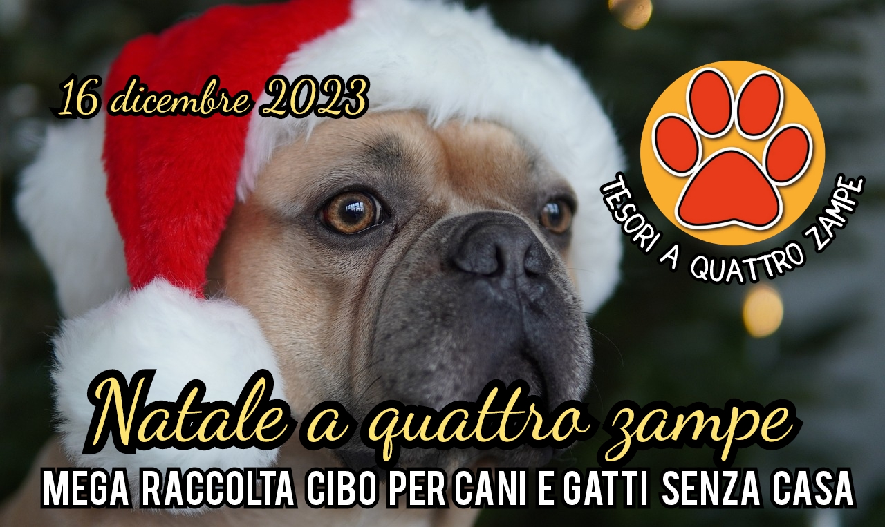 raccolta_cibo_tesori_a_quattro_zampe