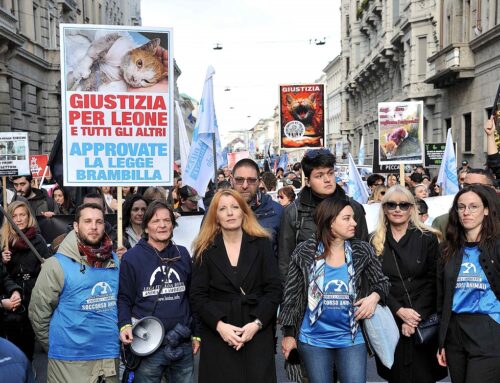 Protesta contro le violenze sugli animali. In centinaia in corteo a Milano, On. Brambilla: “Grazie di cuore a tutti. Segnale chiaro e forte”