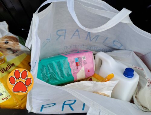 Emergenza Canile Sanitario di Rieti, Gabriella dona cibo e prodotti per pulire