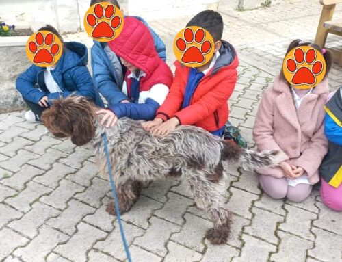 Le cagnoline Sasha e Bellina del Rifugio di Fiocco incontrano i bambini della scuola Cirese di Rieti
