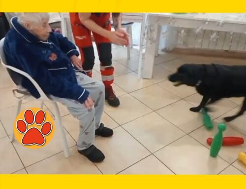►VIDEO – La signora Ada festeggia i 102 anni insieme alla cagnolina Aida