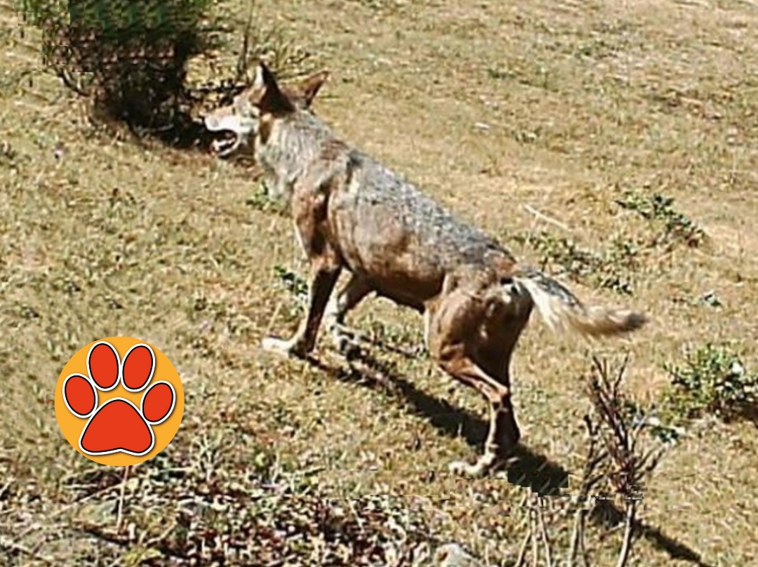 Polish_20240514_141522982