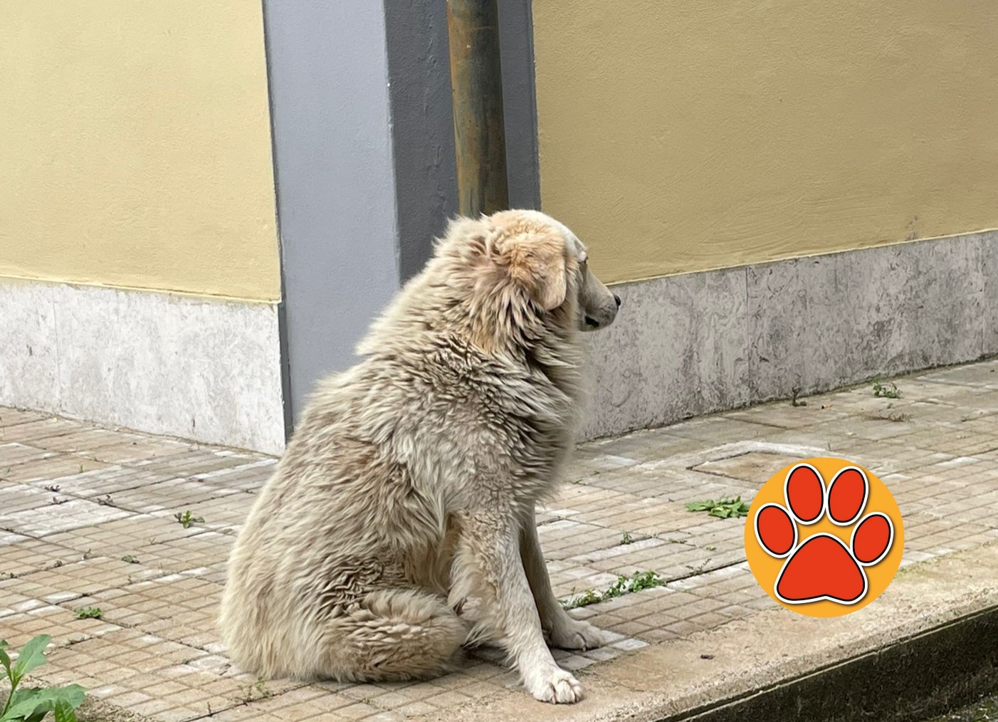 Polish_20240522_183754454