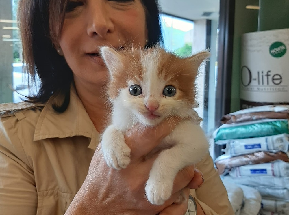 gatto_raffella_cuomo_marianna_cipitelli