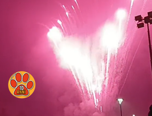 Il Comune di Capena invita la cittadinanza a non usare fuochi d’artificio rumorosi, botti e petardi per il benessere animale e l’ambiente