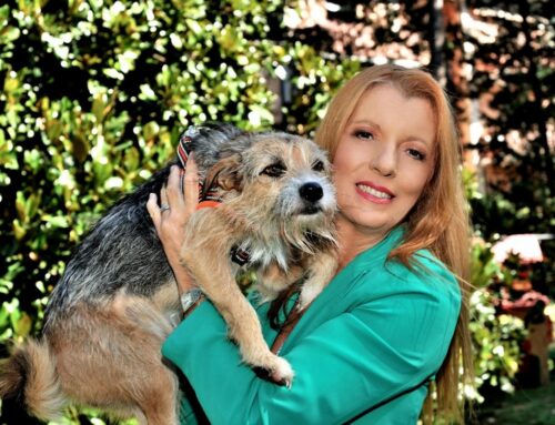Da oggi 1 luglio entra in vigore la Legge Brambilla sui reati contro gli animali