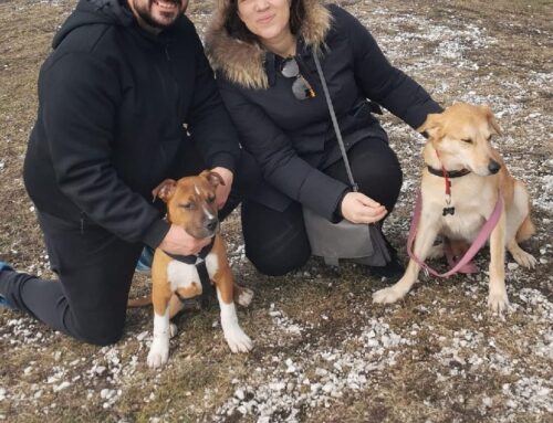 Il piccolo Axel adottato da Alessia e Jacopo