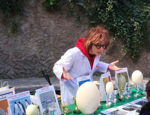 Vacanze di Pasqua 2025: le iniziative per le famiglie al BioParco di Roma  