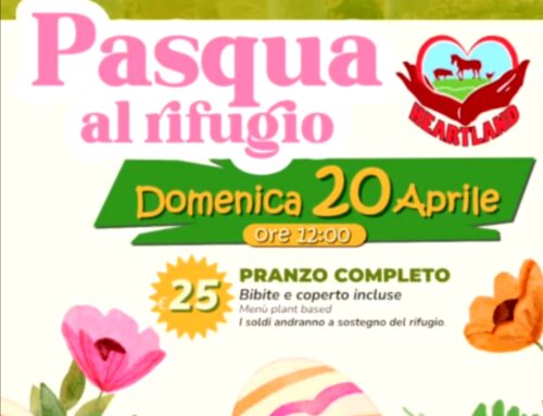 Pasqua al Santuario Animalista Heartland di Nerola – COME PRENOTARE