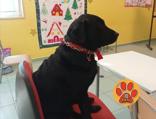 La cagnolina Aida di Rieti il 25 maggio ospite de “L’Arca di Noè” su Canale5
