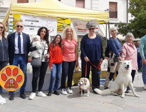 Roberta Cuneo e Leonardo Tosti sostengono i volontari animalisti reatini