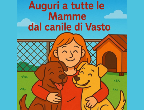 Immagina se si potesse…