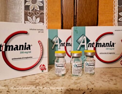 Erica dona farmaci ai cagnolini del Rifugio Pasqualina & Friends di Poggio Mirteto