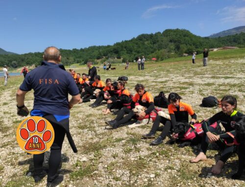 Al Lago del Salto i cani soccorso Accademia SICS con il maestro istruttore Ettore De Michele per i brevetti salvamento